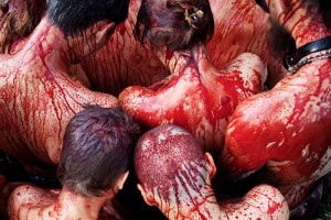 © Pavel Prokopchik2