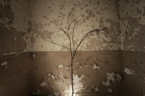 © Salvi Danes Holy Polska