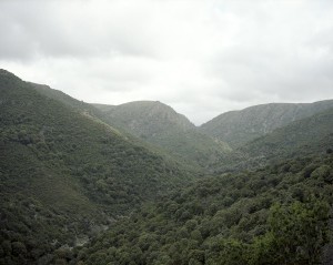 © Simone Mizzotti 06